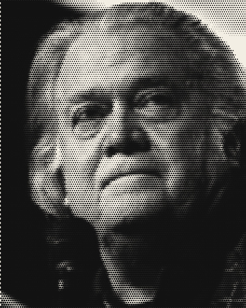 Halftone portrait of Steve Bannon, Podcast host and Trump ally (not an official)