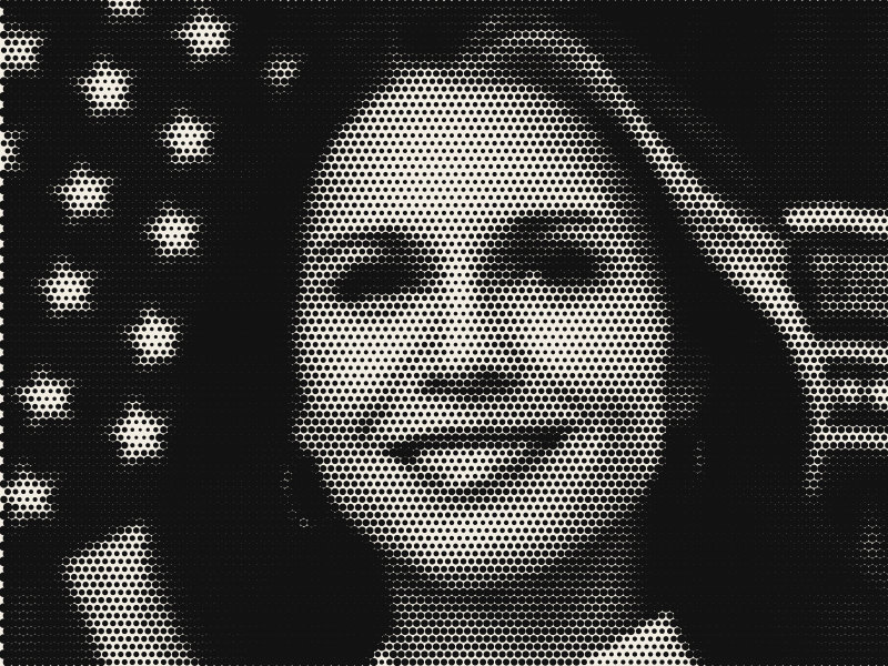 Halftone portrait of Tulsi Gabbard, Director of National Intelligence