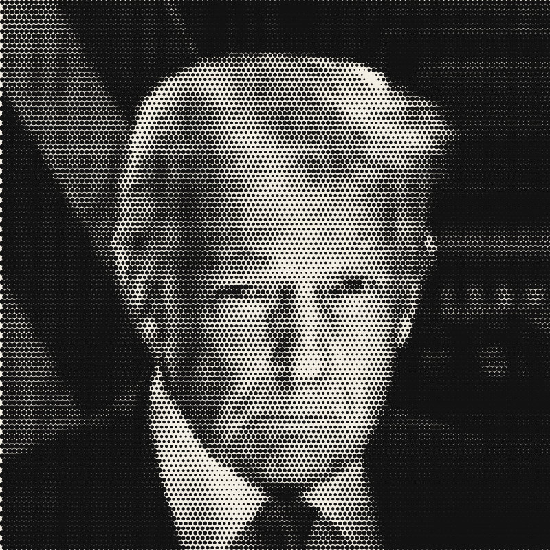 Halftone portrait of Donald Trump, President
