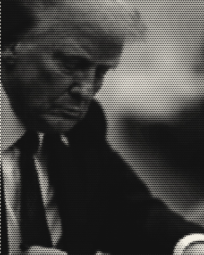 Halftone portrait of Donald Trump, President